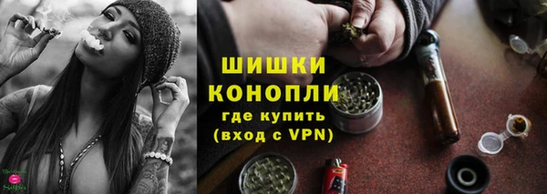 гидра Арсеньев