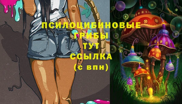 мдпв Армянск