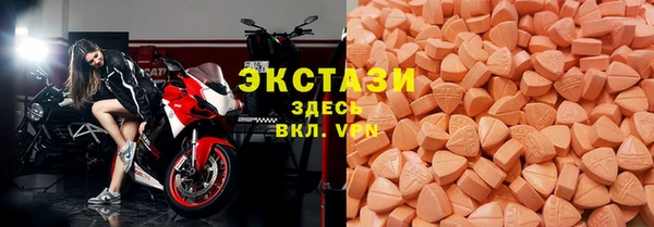 гидра Арсеньев