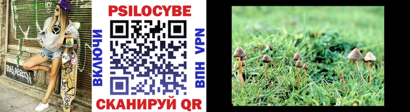 площадка формула  как найти наркотики  Сельцо  Галлюциногенные грибы Psilocybe 